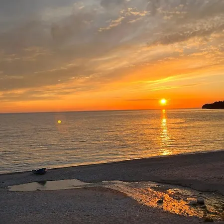 Stonevilla Buta 3* 히마레