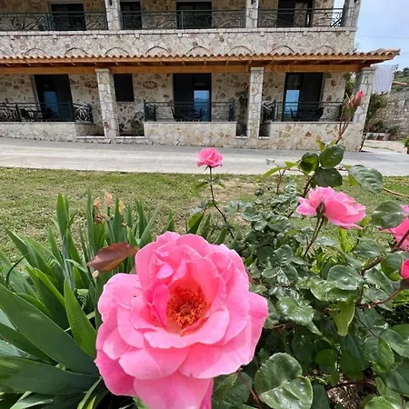 Stonevilla Buta Himare