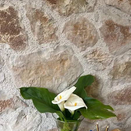 Stonevilla Buta Ξενοδοχείο 3*