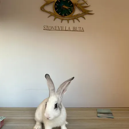 Hotel Stonevilla Buta Himare