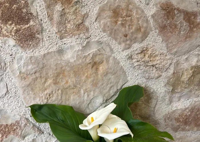 Stonevilla Buta Szálloda 3*