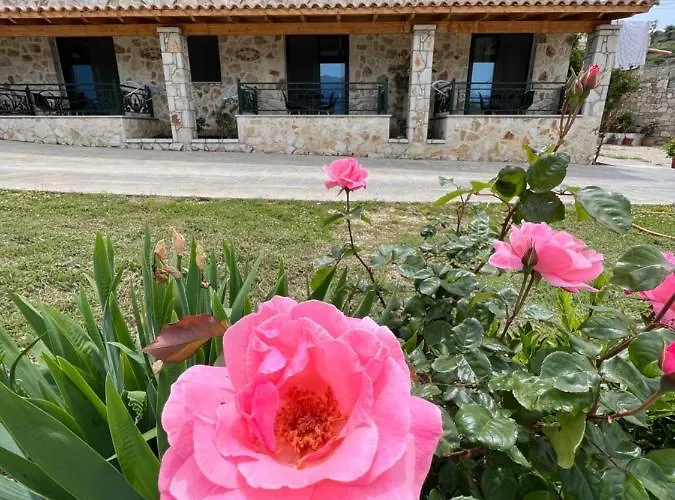 Stonevilla Buta Himarë