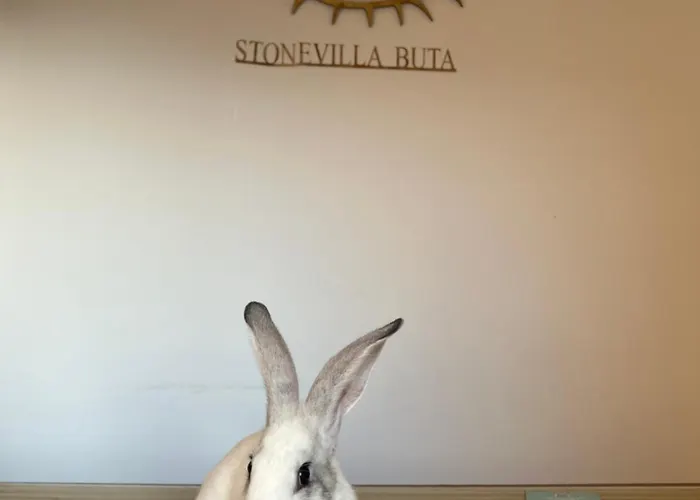 Hotel Stonevilla Buta Himarë